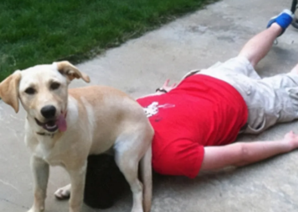 A dog has these six manifestations, which means he treats you as his 