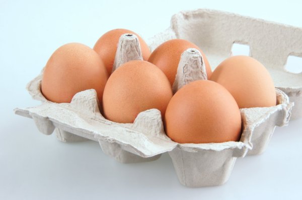 Can t chicken eggs be eaten with persimmons, honey, and anti-inflammatory drugs? Experts analyze correct way to eat and possible impact
