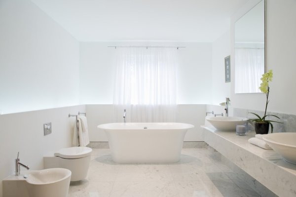 The most dirty bathroom is not a horse bucket. Experiment reveals the 3 places with the most bacteria and how to clean it up