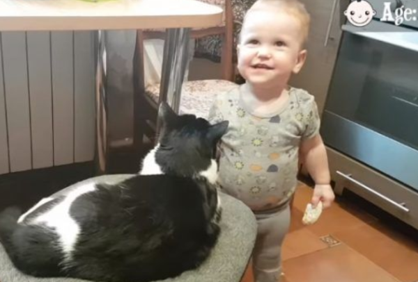 Kissing cat maniac, human brother loves his cat brother very much