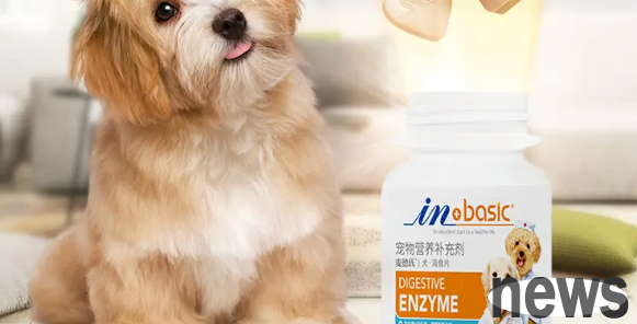 Can dogs eat stomach-enhancing and digestive food tablets?