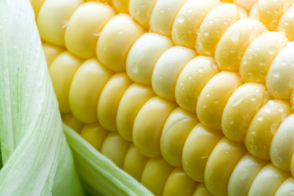 The corn peel is boiled in water very NG! Chef teaches healthy and delicious cooking methods to preserve nutritional value and sweetness