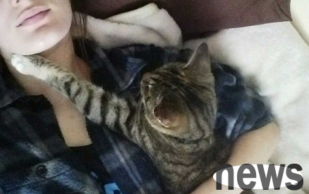 The cat loves his owner so much. He has to lie on his owner s neck to sleep every day
