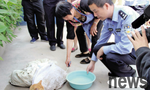 Man was caught stealing a cat late at night and ran away from the police. The cat may have been sold to a restaurant