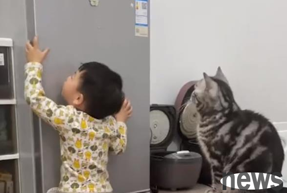 The cute baby couldn t get the snacks on the refrigerator, so he ordered the cat to help