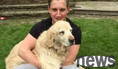 A dog that was predicted to die at any time actually persisted for 13 years