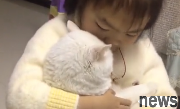A little girl from Hubei is doing homework while holding a cat. The cat’s eyes are full of love, and the picture is warm and loving!