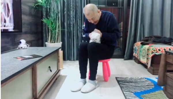 The parents after being captured by cats are so cute.